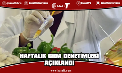 İthal kivide limit üstü, yerli biberde tavsiye dışı ilaç tespit edildi