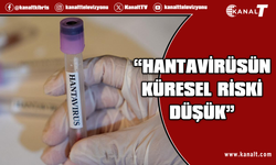 DSÖ: Hantavirüsün küresel nüfus için riski hala düşük