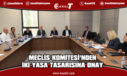 Hukuk Komitesi İki Yasa Tasarısını Oy Çokluğuyla Onayladı