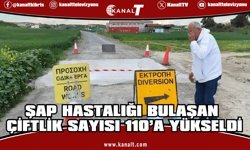 Güney Kıbrıs’ta şap hastalığı bulaşan çiftlik sayısı 110’a yükseldi