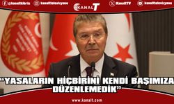 Ünal Üstel: “Yasaların hiçbirini kendi başımıza düzenlemedik”