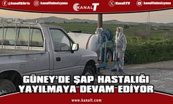 Güney Kıbrıs'ta şap hastalığı görülen mandıra sayısı 120’ye çıktı