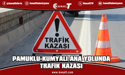 Pamuklu-Kumyalı ana yolunda trafik kazası: 1 yaralı