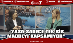 Özdenefe: Yasa, sadece tek bir maddeyi kapsamıyor