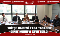 İdari, Kamu ve Sağlık İşleri Komitesi, 3 tasarıyı görüştü: “Bütçe Dairesi Yasa Tasarısı" Genel Kurul’a sevk edildi