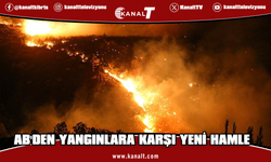 AB orman yangınlarını önleme ve hazırlık kapasitesini güçlendiriyor