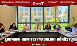 Ekonomi, Maliye, Bütçe ve Plan Komitesi bir öneri ile üç yasa tasarısını görüştü