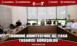 Ekonomi, Maliye, Bütçe ve Plan Komitesi üç yasa tasarısını görüştü