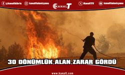 Kırıkkale’de yangın… 30 dönümlük alan zarar gördü