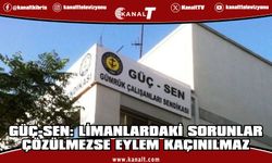 Gümrük Çalışanları Sendikası: 43 kişilik münhal, 20 kişi olarak açıldı; bu sayılar yetersiz!