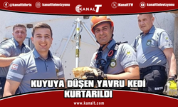30 metrelik kuyuya düşen yavru kedi kurtarıldı