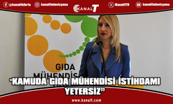 Gıda Mühendisleri Odası: Kamuda gıda mühendisi istihdamının yetersiz olması büyük eksiklik