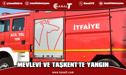 İki ayrı bölgede çıkan yangın zarara neden oldu