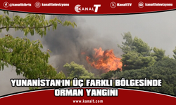 Yunanistan'ın üç farklı bölgesinde çıkan orman yangınlarına müdahale ediliyor