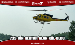 Kanada'nın Ontario eyaletindeki orman yangınlarında 735 bin hektarlık alan kül oldu