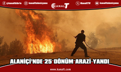 Alaniçi'nde çıkan yangında yaklaşık 25 dönüm tarım arazisi zarar gördü