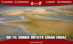 Tuna Nehri'nde rekor kuraklık: 90 yıl önce batan yük gemisi su yüzüne çıktı