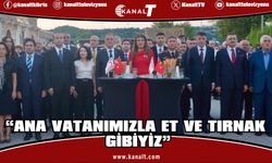 Kıbrıs Barış Harekatı, İstanbul'da resepsiyonla kutlandı