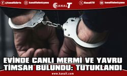 Evinde canlı mermi ve yavru timsah bulundu