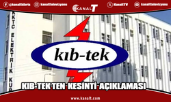 Geçitkale Trafo Merkezi'ne giren yılan elektrik kesintisine neden oldu