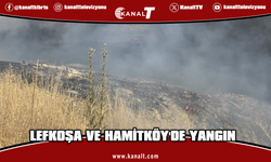 Lefkoşa Sanayi Bölgesi'nde yangın: 40 dönümlük arazi küle döndü