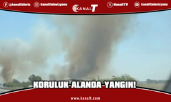 Turunçlu-Dörtyol arasında koruluk alanda yangın