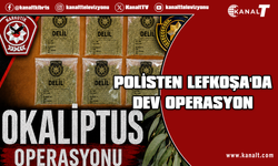 Lefkoşa’da Okaliptus Operasyonu: Uyuşturucu tasarrufundan 3 tutuklu