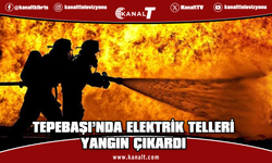 Tepebaşı’nda elektrik tellerinden çıkan yangın iki buçuk dönümlük araziyi yaktı