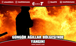 Güngör Ağıllar Bölgesi'nde yangın: Çok sayıda hayvan telef oldu, 2 kişi dumandan etkilendi