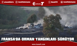 Fransa'daki 3 vilayette orman yangınları sürüyor