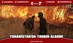 Çöl sıcaklarının etkili olduğu Yunanistan orman yangınlarıyla mücadele ediyor