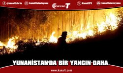 Yunanistan'da Selanik yakınlarındaki Kufalya bölgesinde orman yangını çıktı