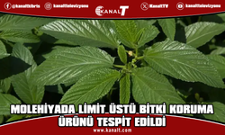 Gıda denetimleri: Molehiyada limit üstü bitki koruma ürünü tespit edildi