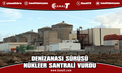 Fransa'da denizanası sürüsü nedeniyle 3 nükleer reaktörün faaliyetleri durduruldu