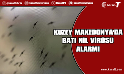 Kuzey Makedonya’da Batı Nil virüsü alarmı: 4 kişi hayatını kaybetti