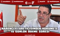 Narenciye Üreticileri Birliği'den üreticilere ödeme yapılması için 15 gün süre