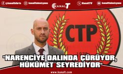 Gulamkadir: "Narenciyede Pembe Tablo Sahadaki Gerçekle Örtüşmüyor"