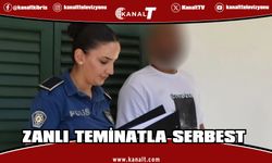 Evine Zarar Vererek Girdi, Cinsel Tacizle Suçlandı