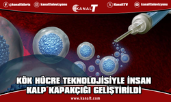 Avustralya'da kök hücreden, insandakine benzer kalp kapakçık dokuları üretildi