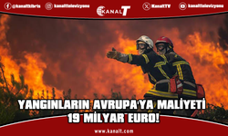 Avrupa'da orman yangınları: 530 bin hektardan fazla alan kaybedildi