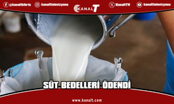 Süt bedelleri ödendi: Üreticilere 210 milyon 943 bin 127 TL ödeme yapıldı