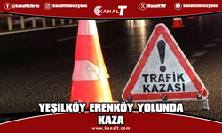 Yeşilköy-Erenköy anayolunda kaza: Araç yoldan geçen eşeğe çarptı
