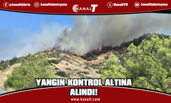 Yamaçköy - Tirmen Köyleri arasındaki ormanlık arazide çıkan yangın kontrol altına alındı