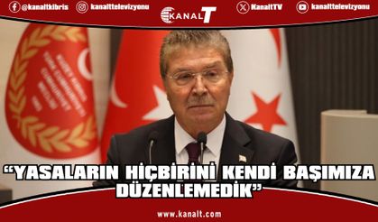 Ünal Üstel: “Yasaların hiçbirini kendi başımıza düzenlemedik”