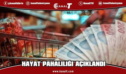 Hayat Pahalılığı Oranları açıklandı