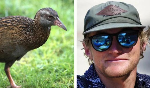Yeni Zelanda'da çekilen TV programındaki yarışmacı, koruma altındaki kuşu yedi