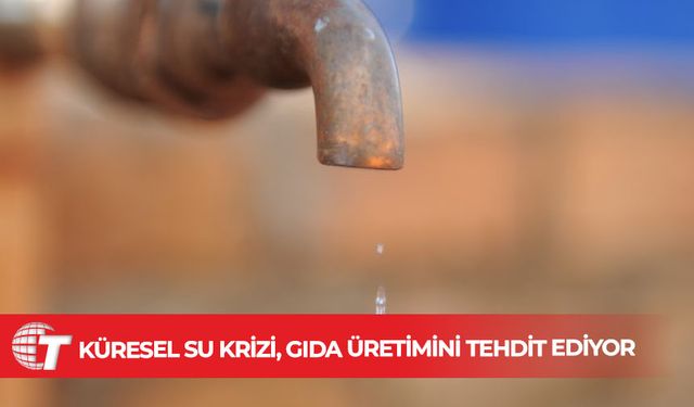 Önümüzdeki 25 yılda gıda üretiminin yarısı tehlikede