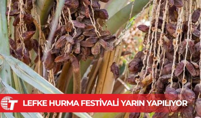 Lefke Hurma Festivali yarın yapılıyor