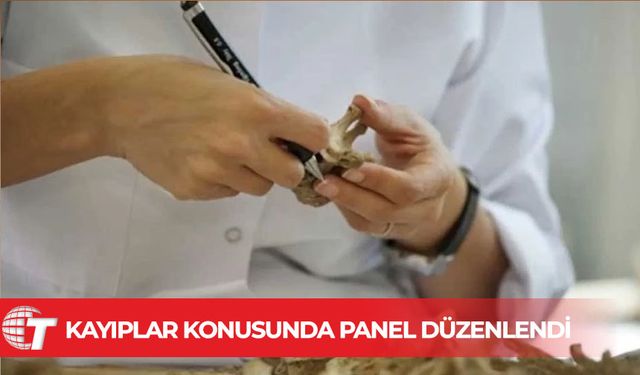 Kayıplar konusunda panel düzenlendi