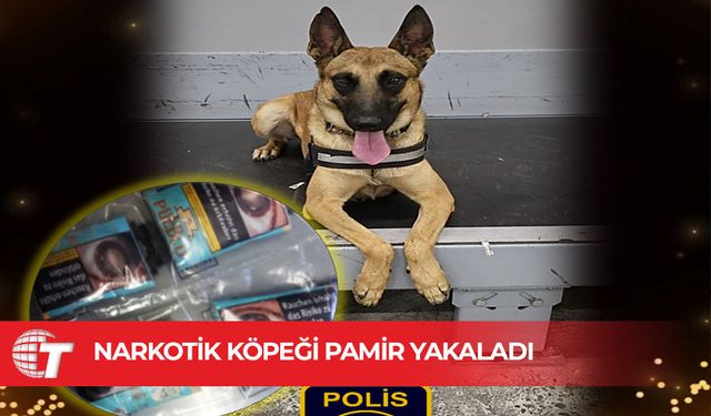 Ercan’a valizde getirilen uyuşturucuyu Narkotik köpeği buldu